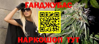 молекула духа Будённовск